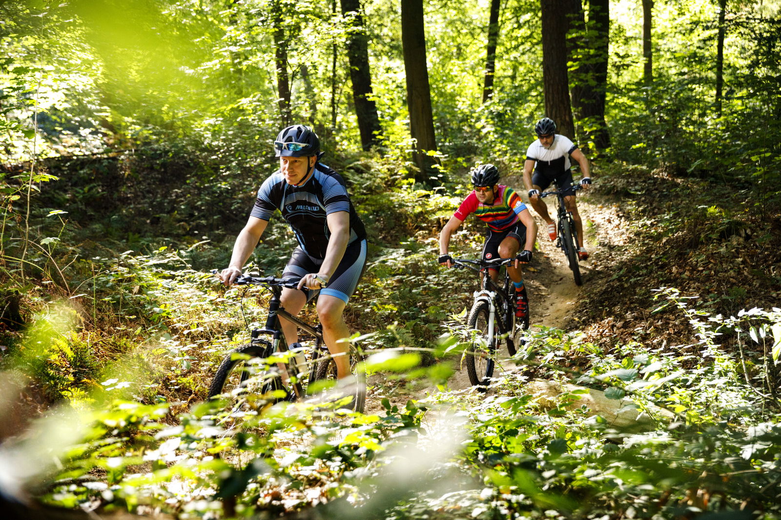 Mountainbikeroutes - meerdere routes voor eindeloos avontuur