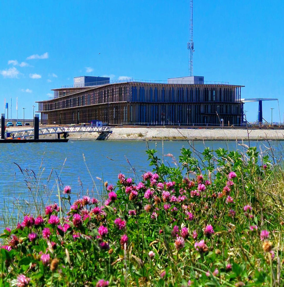 Robbenzentrum/WEC Lauwersoog