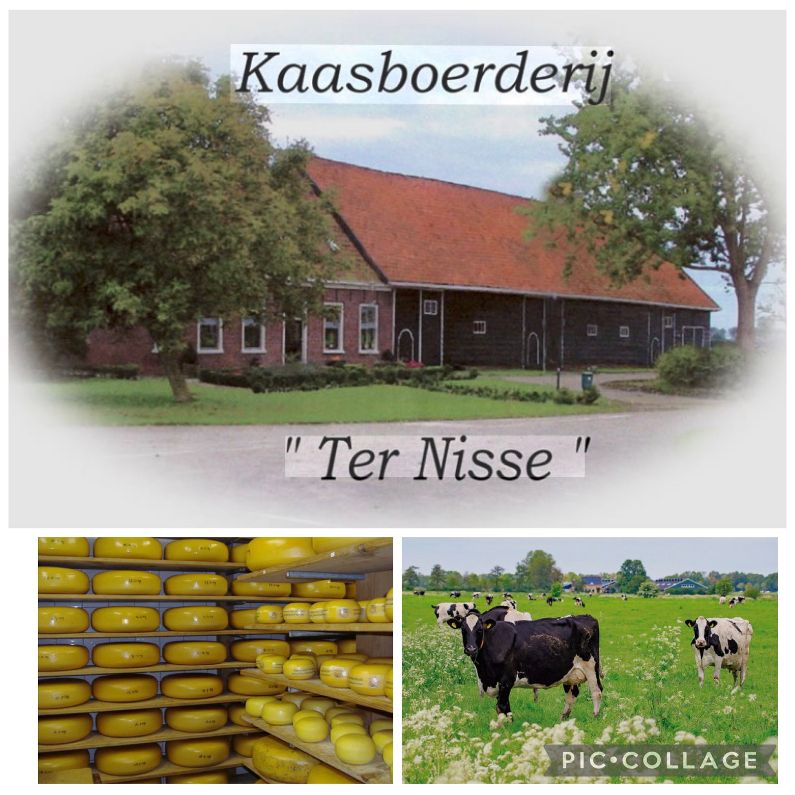 Kaasboerderij Ter Nisse