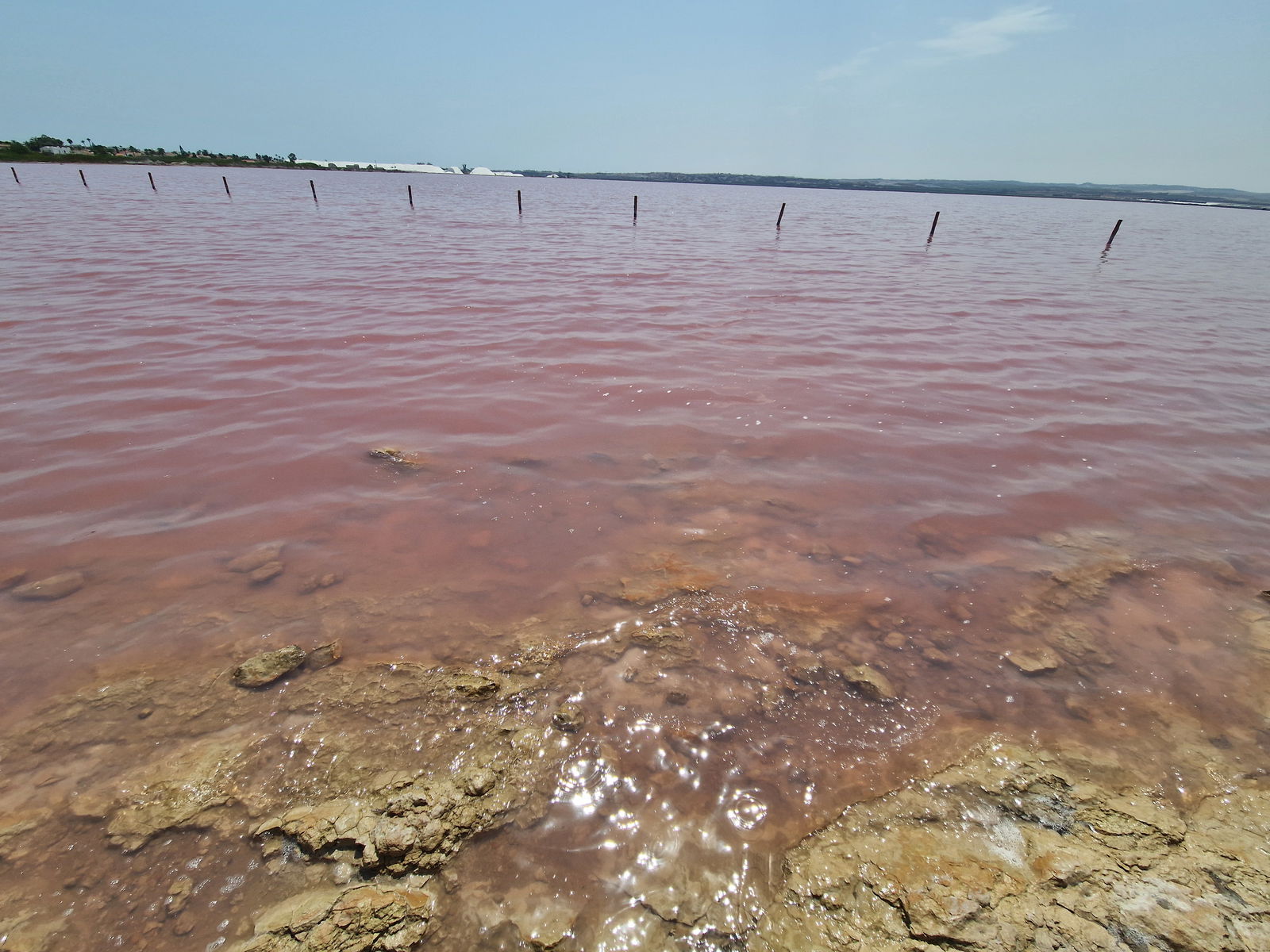 Roze zoutmeren van Torrevieja