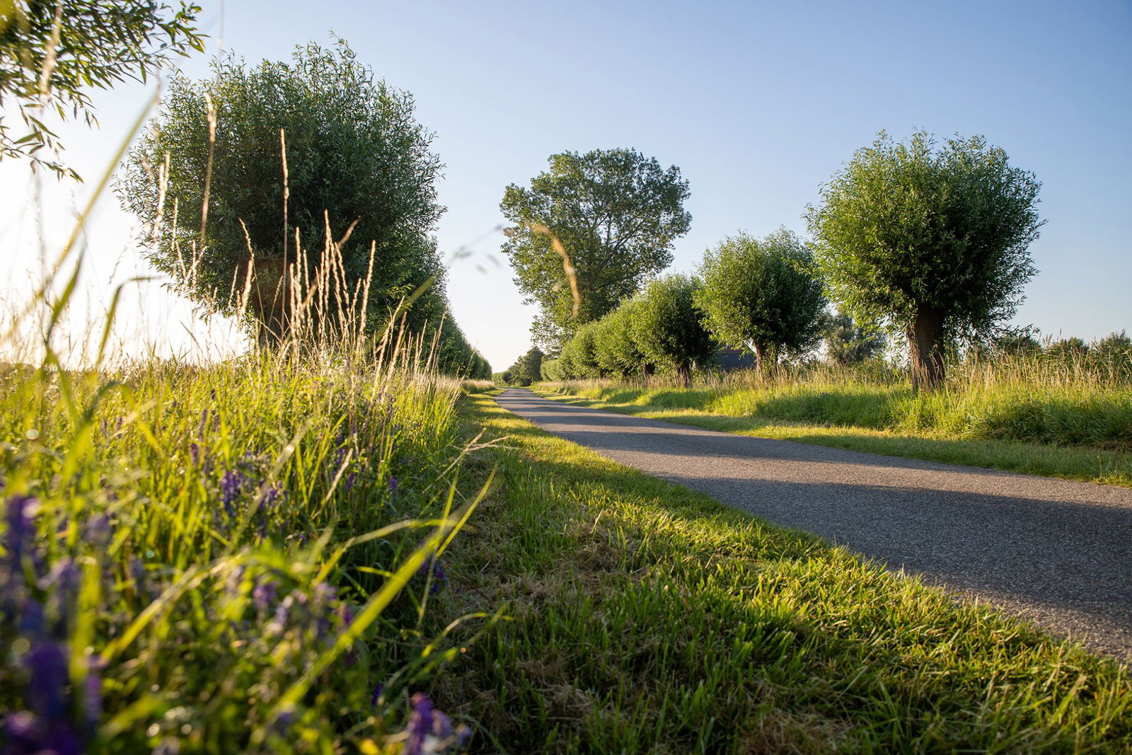 Mooie wandel- en fietsroutes