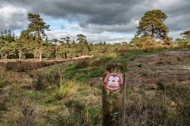 Wandelen of fietsen in natuurgebied De Borkeld