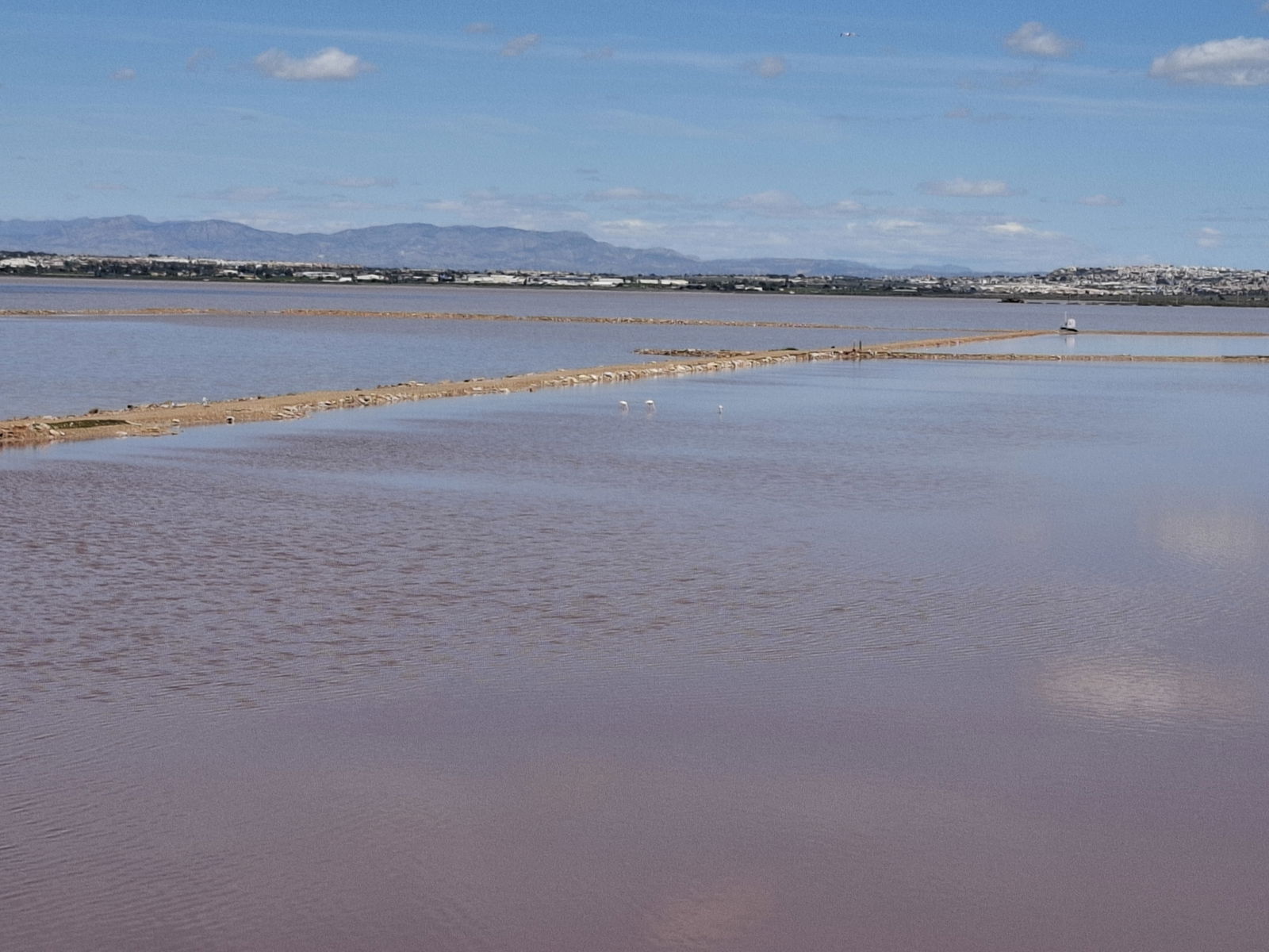 zoutmeer torrevieja met het treintje